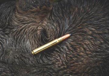 Norma WHITETAIL - svetoznáma kvalita na dosah
