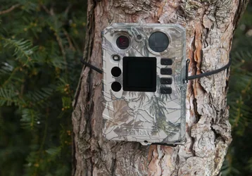 8 dôvodov prečo si zabezpečiť bezpečnosť s najmenšou fotopascou TETRAO Strix18
